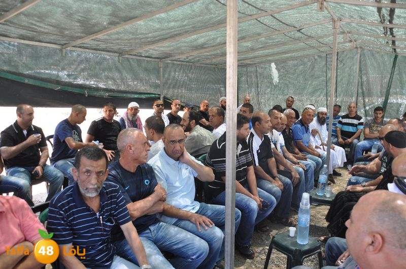 sol7desoqylud615 (77).JPG